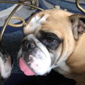 Meet your Posher, Jennifer